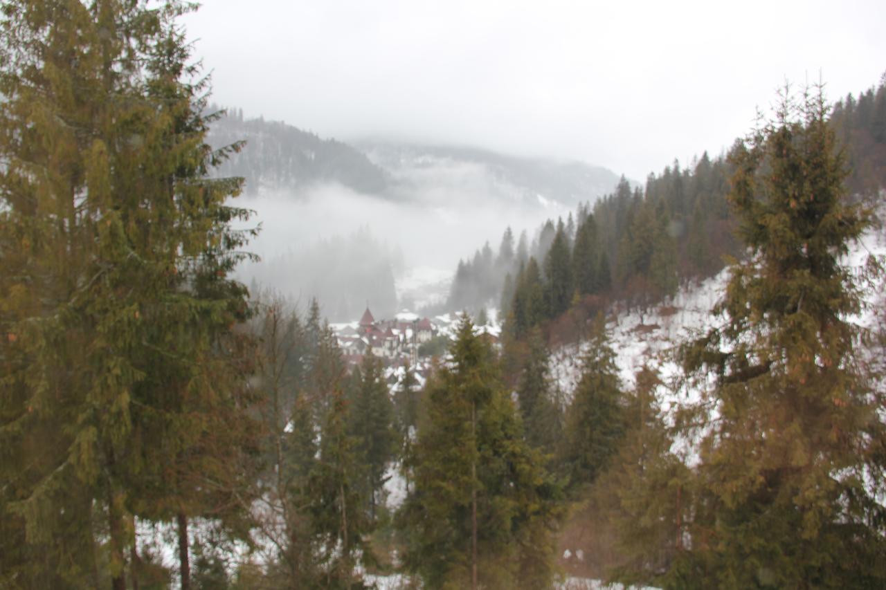 Вилла Na Gori Славское Экстерьер фото